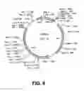 Fig. 09 - Stabilizied bioactive peptides and methods of identification, synthesis and use