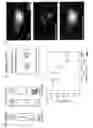 Fig. 03 - Bio-adhesive gels and methods of use