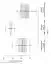 Fig. 07 - Bio-adhesive gels and methods of use