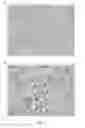 Fig. 05 - Direct immunohistochemistry assay
