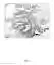 Fig. 07 - Direct immunohistochemistry assay