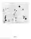 Fig. 08 - Direct immunohistochemistry assay
