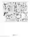 Fig. 11 - Direct immunohistochemistry assay