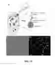 Fig. 18 - Microfluidic System and Method for Real-Time Measurement of Antibody-Antigen Binding and Analyte Detection
