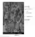 Fig. 09 - Synthetic thread based lateral flow immunoassay