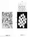 Fig. 11 - Synthetic thread based lateral flow immunoassay