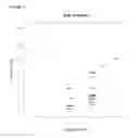 Fig. 02 - Marker sequences for diagnosing and stratifying SLE patients