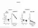 Fig. 06 - Diagnosis of multiple sclerosis