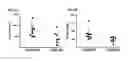 Fig. 07 - Identification of novel diagnostics and therapeutics by modulating RhoH