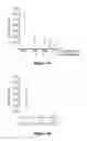 Fig. 14 - Methods of detecting biological prints, fluids or analytes therein using porous semiconductor substrates