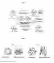 Fig. 03 - Lectins and applications for the detection of pathological state markers
