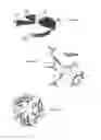 Fig. 04 - Lectins and applications for the detection of pathological state markers