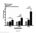 Fig. 05 - Method for identifying and quantifying carboxyethyl valine modified haemoglobin