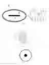 Fig. 03 - Sensor and method for electric current measurement