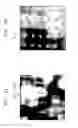 Fig. 05 - Non-destructive determination of components of integrated circuits