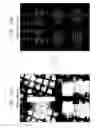 Fig. 13 - Non-destructive determination of components of integrated circuits