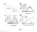Fig. 02 - Methods and systems of assessing tissue vascular permeability using non-labeled dextran