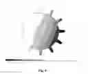 Fig. 05 - Method for compensating optical aberrations with a deformable mirror