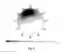Fig. 06 - Method for compensating optical aberrations with a deformable mirror