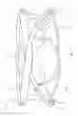 Fig. 15 - Adjustable eyewear retainer