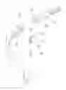 Fig. 01 - EYEGLASSES TEMPLE STRUCTURE