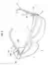 Fig. 03 - Eyeglasses protection device