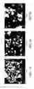 Fig. 03 - POLYMERIZED TONER MATERIAL COMPRISING SILICON (Si) NANOPARTICLES AND PROCESS FOR ITS PREPARATION
