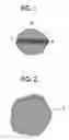 Fig. 02 - ELECTROSTATIC CHARGE IMAGE DEVELOPING TONER, ELECTROSTATIC CHARGE IMAGE DEVELOPER, AND TONER CARTRIDGE