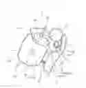 Fig. 01 - Process cartridge and image forming apparatus