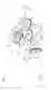 Fig. 02 - Timepiece movement comprising a date correction mechanism