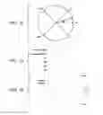 Fig. 07 - Eye gesture tracking