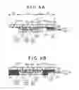 Fig. 07 - Touch panel and manufacturing method therefor