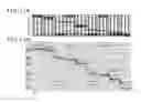Fig. 17 - Display apparatus and touch detection apparatus using shift of detection operation for reduced detection time