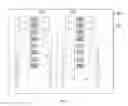 Fig. 15 - Touch input device and touch display device
