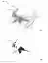 Fig. 01 - Probabilistic determination of selected image portions