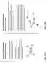 Fig. 11 - Identifying root causes of failures in a deployed distributed application using historical fine grained machine state data
