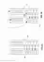 Fig. 06 - Restoring a clone point-in-time copy