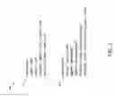 Fig. 03 - Disambiguating join paths for natural language queries