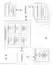 Fig. 02 - METHODS AND SYSTEMS FOR CAPTURING RELATIONAL CONTENT, OBJECTIVELY ORDERING SEARCH RESULTS, AND CONCISELY DISPLAYING SEARCH RESULTS