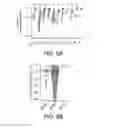 Fig. 11 - Virtual inference of protein activity by regulon enrichment analysis