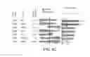Fig. 15 - Virtual inference of protein activity by regulon enrichment analysis