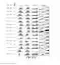 Fig. 54 - Virtual inference of protein activity by regulon enrichment analysis