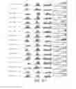 Fig. 56 - Virtual inference of protein activity by regulon enrichment analysis