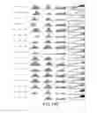 Fig. 58 - Virtual inference of protein activity by regulon enrichment analysis