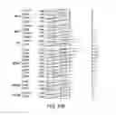 Fig. 89 - Virtual inference of protein activity by regulon enrichment analysis