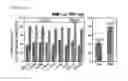 Fig. 08 - A Method of Selecting a Nuclease Target Sequence for Gene Knockout Based on Microhomology