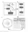 Fig. 01 - SINGLE-CELL ANALYSIS AS A SENSITIVE AND SPECIFIC METHOD FOR EARLY CANCER DETECTION