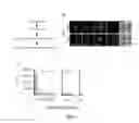Fig. 02 - SINGLE-CELL ANALYSIS AS A SENSITIVE AND SPECIFIC METHOD FOR EARLY CANCER DETECTION
