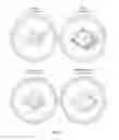 Fig. 08 - SINGLE-CELL ANALYSIS AS A SENSITIVE AND SPECIFIC METHOD FOR EARLY CANCER DETECTION