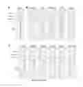 Fig. 14 - SINGLE-CELL ANALYSIS AS A SENSITIVE AND SPECIFIC METHOD FOR EARLY CANCER DETECTION